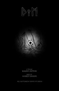 DiM poster