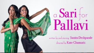 sari for pallavi poster